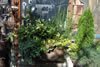My Gallery: Image